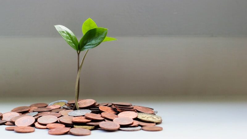 7 Simple Daily Habits That Will Transform Your Financial Future
